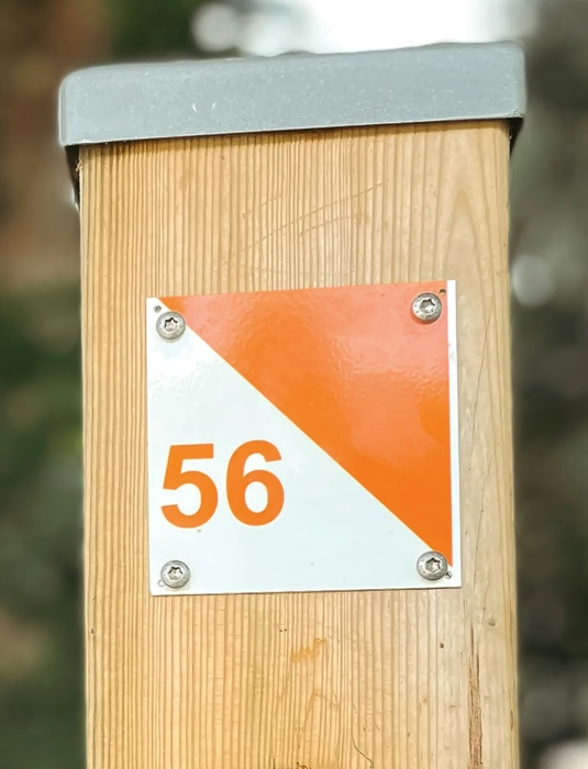 Give it a go! Orienteering