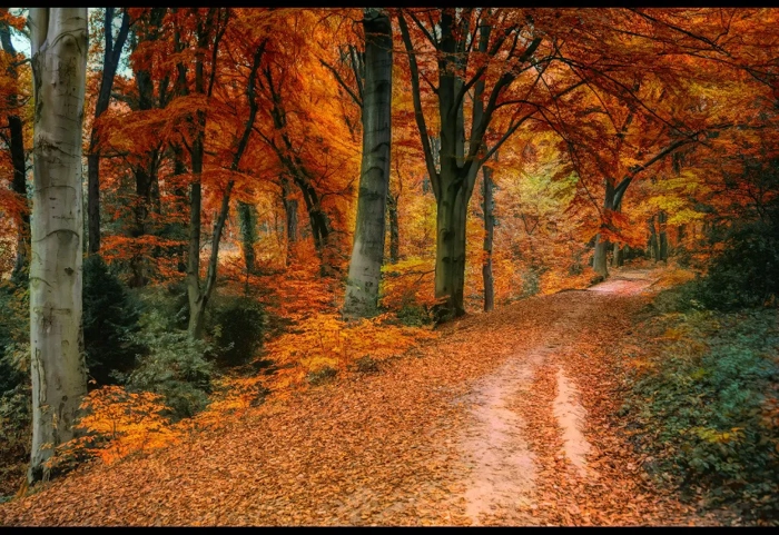 Mindfulness Mondays - September