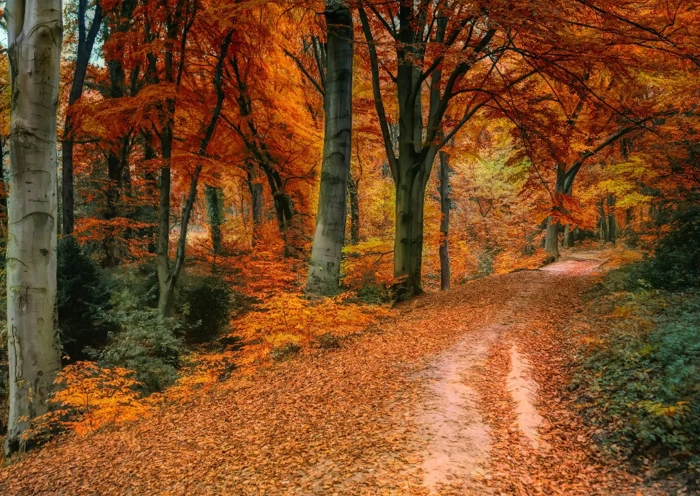 Mindfulness Mondays - September 