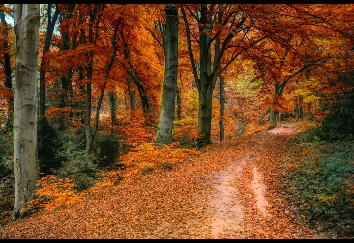 Mindfulness Mondays - September